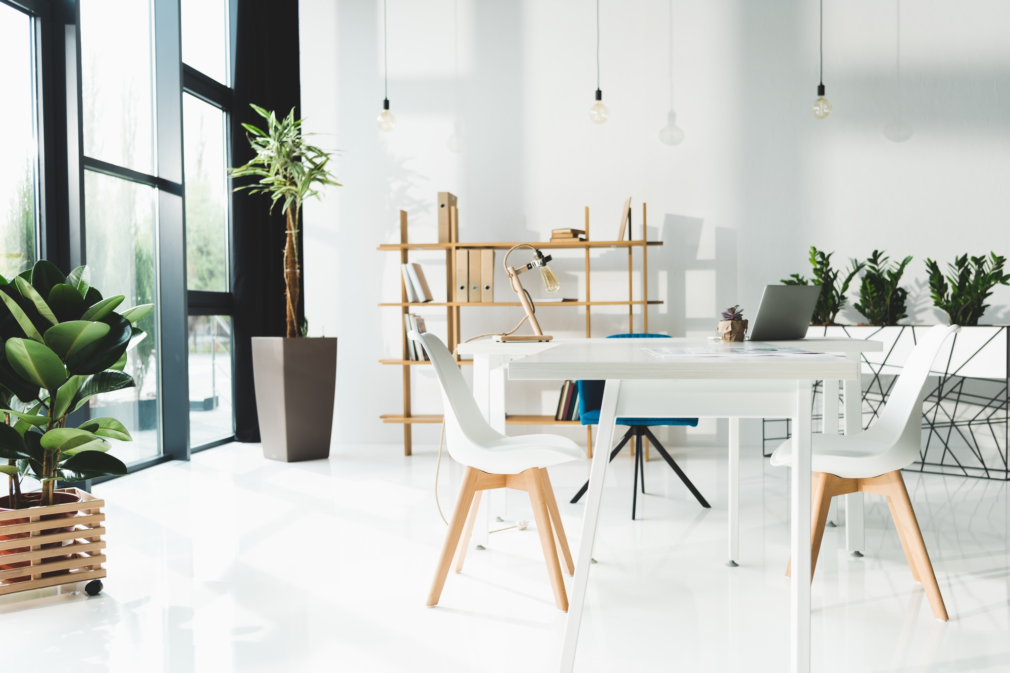 interior of beautiful modern office